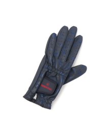 BRIEFING GOLF/【日本正規品】ブリーフィング ゴルフ グローブ 左手 BRIEFING GOLF WOMENS ALL WEATHER GLOVE－L 片手 BRG213W05/504414004