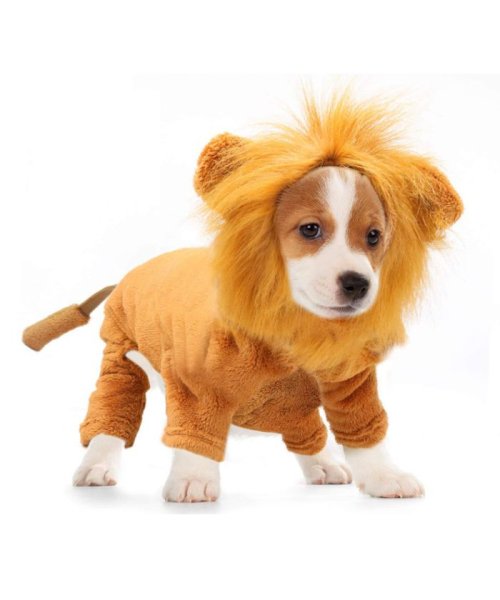 セール 犬服 ドッグ コスプレ ライオン ペット用 犬 猫 コスチューム 小型犬 中型犬 クララキッズ Clarah Kids Magaseek