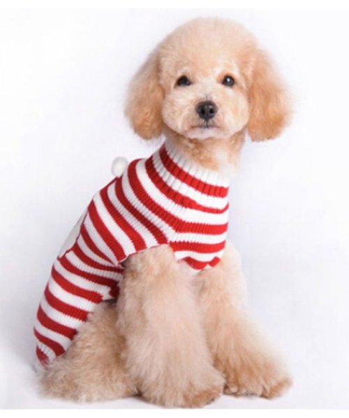 セール 犬服 ドッグウェア サンタクロース コスプレ クリスマス ニット ニットセーター クララキッズ Clarah Kids Magaseek