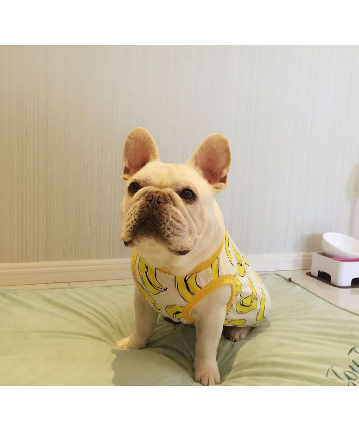 【セール】ドッグウェア 犬服 タンクトップ Tシャツ 夏 ノースリーブ 
