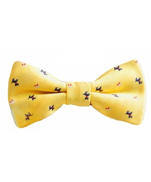 犬用 蝶ネクタイ ドッグ アクセサリー リボン 首輪 水玉 ドット ボーダー 花柄 フラワー クララキッズ Clarah Kids Magaseek