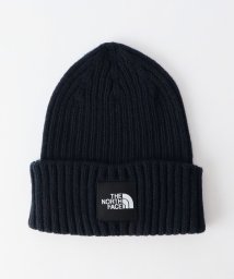 green label relaxing(グリーンレーベルリラクシング)/＜THE NORTH FACE＞ロゴ ビーニー/NAVY