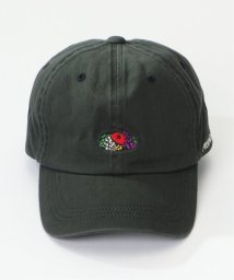 ikka(イッカ)/FRUIT OF THE LOOM　フルーツオブザルーム　ワンポイントロゴCAP/その他