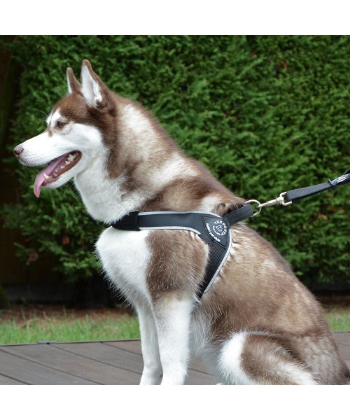 中大型犬用 ブリオ ライン ハーネス 中大型犬用 中大型犬用 Magaseek