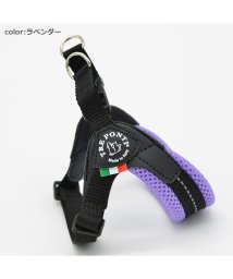 Fibbia Adjustable/【Fibbia Adjustable】フィッビア　アジャスタブルタイプ　ソフトメッシュ　パステル【1号　1.5号】/504453480