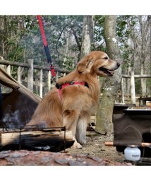 中大型犬用(中大型犬用)/【中大型犬用】スポルツァ　ライン　ハーネス【4.5号】/レッド