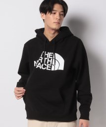 THE NORTH FACE(ザノースフェイス)/【THE NORTH FACE】ノースフェイス パーカー NF0A4M4B Half Dome Pullover Hoodie/ブラック