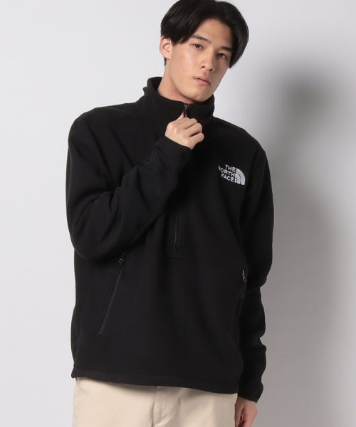 THE 大きい NORTH FACE ハーフジップフリース