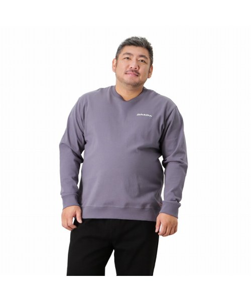 MAC HOUSE(men)(マックハウス（メンズ）)/[大きいサイズ] Dickies ディッキーズ プリントロングスリーブTシャツ キングサイズ 2178－0531KG/パープル