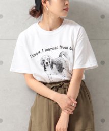 FREDY&GLOSTER(フレディアンドグロスター)/【Regency Works】short sleeve animal print T/ホワイト系その他3