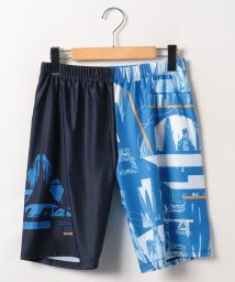 VacaSta Swimwear(men)(バケスタ　スイムウェア（メンズ）)/【REEBOK】ルーズスパッツ/ブルー