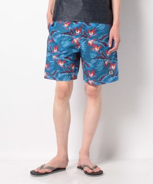 VacaSta Swimwear(men)/【CALIFORNIA SHORE】トランクス/504504827