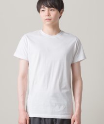 OMNES/【OMNES】メンズ 天竺編みコットン クルーネック＆Vネック半袖Tシャツ アンダーウェア (2枚組)/504517512