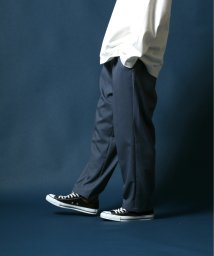 ANPAS(ANPAS)/【ANPAS】TR Wide Tapered Pants/TR ワイドテーパードパンツ スラックス/ブルー