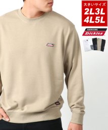 MARUKAWA(大きいサイズのマルカワ)/【GENUINE Dickies】ジェニュインディッキーズ 大きいサイズ 2L 3L 4L 5L 裏毛 スウェット トレーナー シンプル カジュアル メンズ/ベージュ