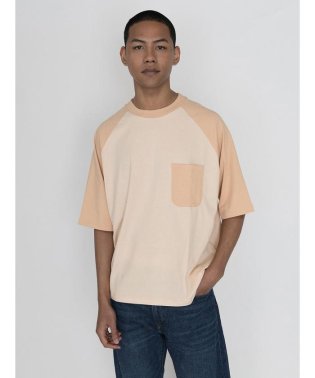 Levi's/ラグランTシャツ PORCINI/504537878