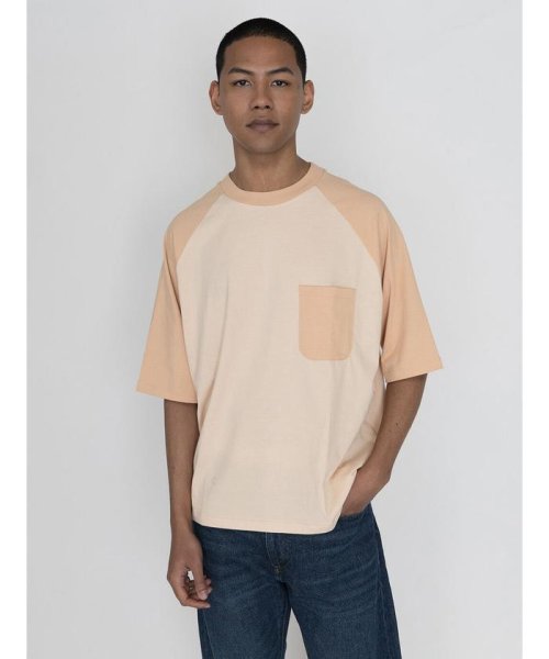 Levi's(リーバイス)/ラグランTシャツ PORCINI/NEUTRALS