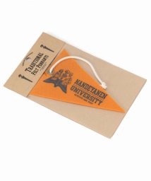 JOURNAL STANDARD MEN(ジャーナルスタンダードメンズ)/Question College Group PENNANT/イエロー