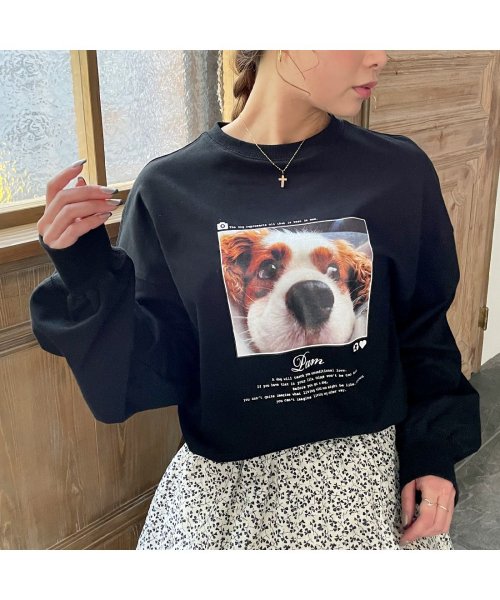 セール キャバリアプリントトレーナー 犬スウェット ジュノア Junoah Magaseek