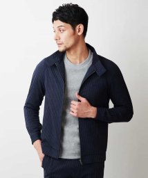 MICHEL KLEIN HOMME(ミッシェルクランオム)/ストライプスイングトップブルゾン/ネイビー（57）