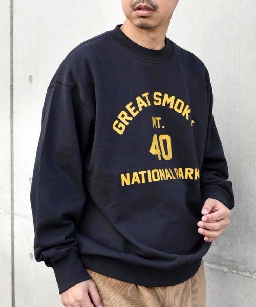 SHIPS any MEN(シップス　エニィ　メン)/*SHIPS any: NATIONAL PARK プリント スウェット 23AW◇/ブラック