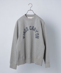 SHIPS any MEN(シップス　エニィ　メン)/*SHIPS any: NATIONAL PARK プリント スウェット 23AW◇/グレー