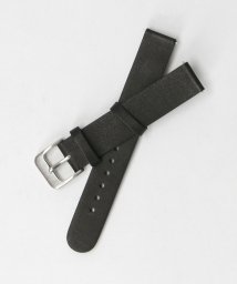 BEAUTY&YOUTH UNITED ARROWS(ビューティーアンドユース　ユナイテッドアローズ)/＜MAVEN WATCHES＞34mm交換用レザーベルト/シルバーカラー2/BLACK