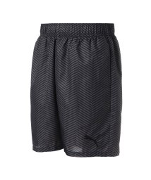 PUMA(プーマ)/メンズ サッカー PUMA FUSSBAL ハイブリッド ウーブンショーツ/PUMABLACK