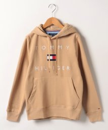 TOMMY HILFIGER(トミーヒルフィガー)/JS M STACKED LOGO POPOVER HOOD/ベージュ