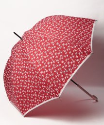 POLO RALPH LAUREN(umbrella)(ポロラルフローレン（傘）)/傘　”フラワー”/レッド
