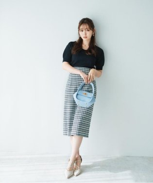 PROPORTION BODY DRESSING/サマーチェックタイトスカート/504593891