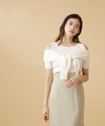 JILL by JILL STUART(ジル バイ ジル スチュアート)/フェイクレイヤードニット/エクリュ1