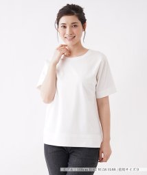 Leilian(レリアン)/コットン無地Tシャツ【my perfect wardrobe】/アイボリー