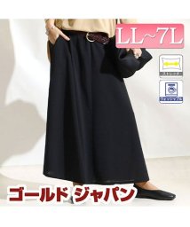 GOLD JAPAN(ゴールドジャパン)/大きいサイズ レディース ビッグサイズ ストレッチカットソーフレアロングスカート/ブラック