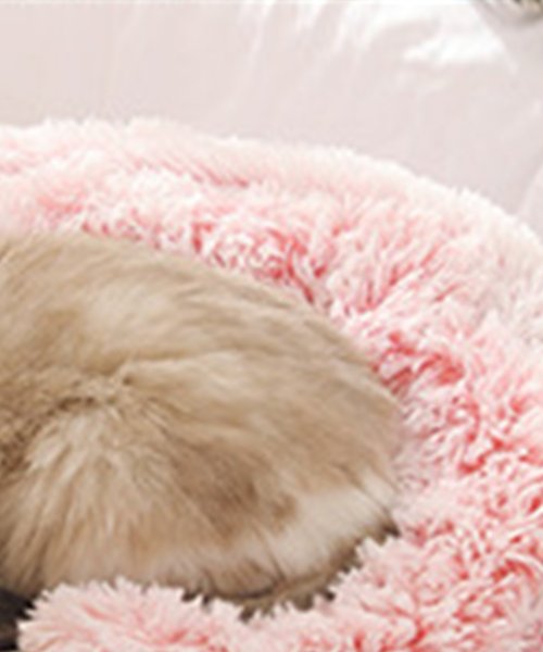 もこもこ２wayペットクッション 裏シャギー製長毛素材 ペットクッション Aimoha アイモハ Aimoha Magaseek