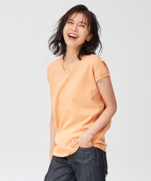 NIJYUSANKU（LARGE SIZE）/ALBINIフレンチスリーブ 半袖 Tシャツ/504604623