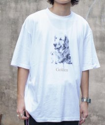 GLOSTER(GLOSTER)/【人気NO.1ヒットシリーズ】DOG&CAT 犬猫オーバーサイズTシャツ/ホワイト系その他2