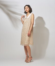 GRACE CONTINENTAL(グレースコンチネンタル)/コードキカ刺繍ドレス/ベージュ