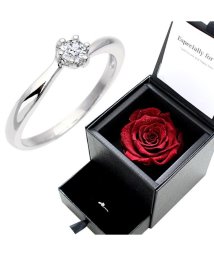 Sears/シアーズ シルバーリング キュービックジルコニア プロポーズ 婚約指輪 プリザーブドフラワー 薔薇 ダイヤモンドローズ 小物入れ/504619855