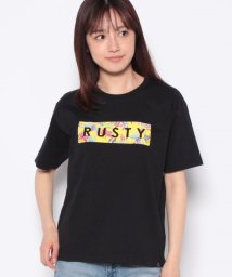 RUSTY(ラスティ（レディース）)/【RUSTY】ハンソデ Tシャツ/ブラック系02