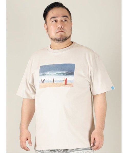 GRAND-BACK(グランバック)/【大きいサイズ】オーシャン パシフィック/Ocean Pacific USAコットン クルーネック半袖Tシャツ /シルバー