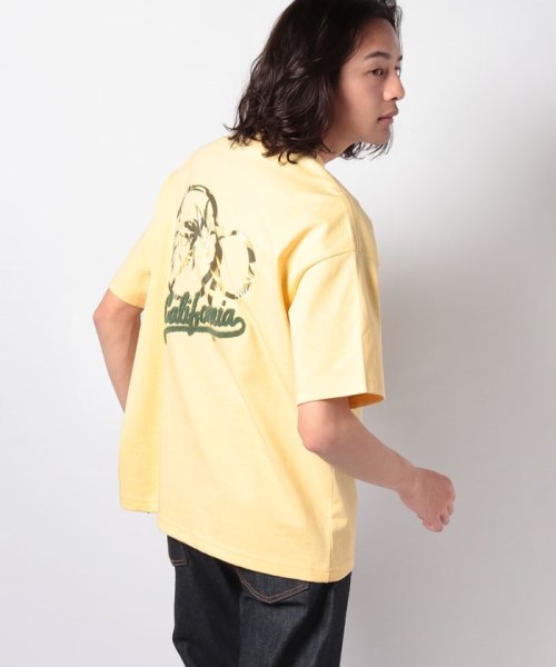 Ocean Pacific MENS(オーシャンパシフィック　メンズ)/【OP】ハンソデ Tシャツ/イエロー