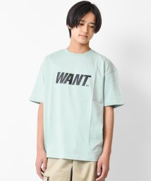 RAT EFFECT(ラット エフェクト)/WANTロゴプリントTシャツ/グリーン