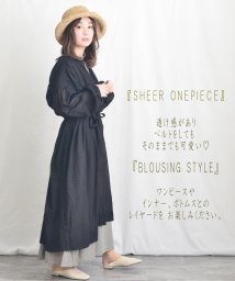 ARGO TOKYO(アルゴトウキョウ)/※2022版※Cotton Sheer Volume Shirt Onepiece 2902401 コットンシアーボリュームシャツワンピース　シャツワンピース　/ブラック