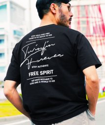 JIGGYS SHOP/オーガビッツマルチロゴパターンTシャツ / オーガニック コットン サステナブル ティーシャツ 半袖 ロゴT vネック uネック/503940115