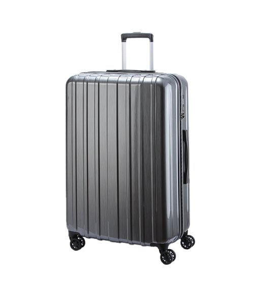 ASIA LUGGAGE(アジアラゲージ)/スーツケース Lサイズ LLサイズ 96L 大型 大容量 超軽量 受託無料 キャリーケース アジアラゲージ キャリエッタ A.L.I carieta－ltd－9/ガンメタリック