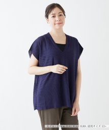 Leilian PLUS HOUSE(レリアンプラスハウス)/Vネックサマーニット【LE TRICOT PERUGIA】/ネイビー