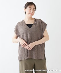 Leilian PLUS HOUSE(レリアンプラスハウス)/Vネックサマーニット【LE TRICOT PERUGIA】/ブラウン 