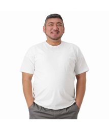 MAC HOUSE(men)(マックハウス（メンズ）)/[大きいサイズ] ORGABITS オーガビッツ フットボール切替半袖Tシャツ キングサイズ QMH/03831SS－K/ホワイト