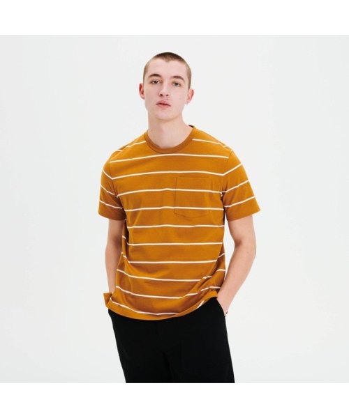 ＡＩＧＬＥ MEN(エーグル　メンズ)/リネンコット ストライプンポケット 半袖Tシャツ/ブリック